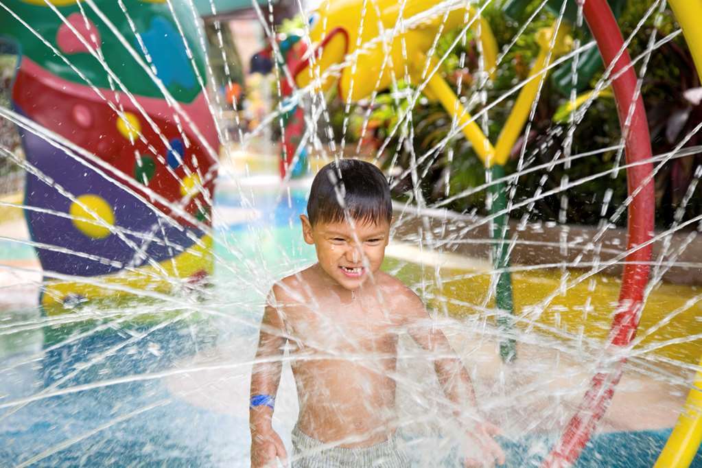 Hilton Garden Inn Austin North מתקנים תמונה